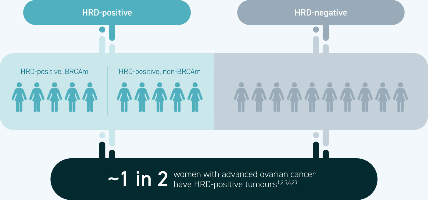 hrd ovarian cancer